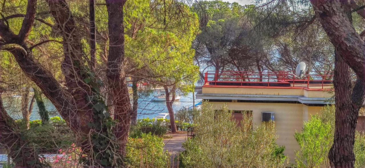 Royal Apartments Zadar Zewnętrze zdjęcie